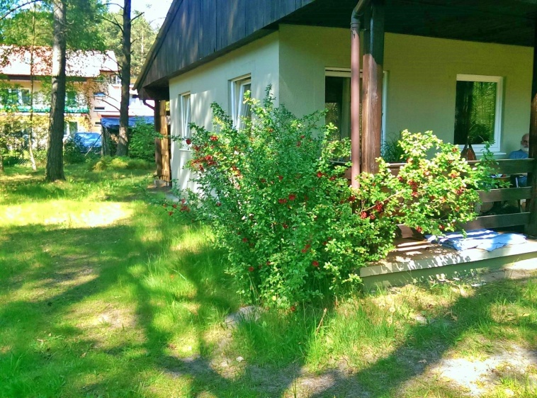Domek Letniskowy w Dębkach 