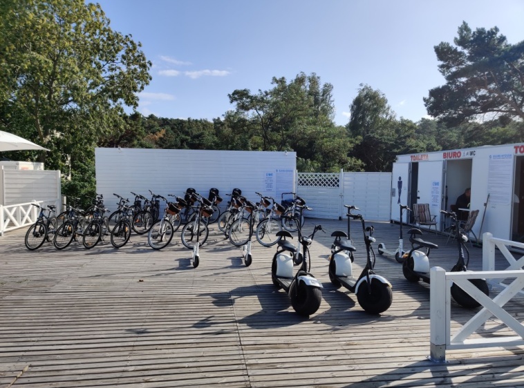 Wypożyczalnia Hulajn&oacute;g Dziki Rex